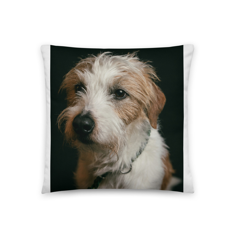 Coussin avec portrait d'animal Muzzly