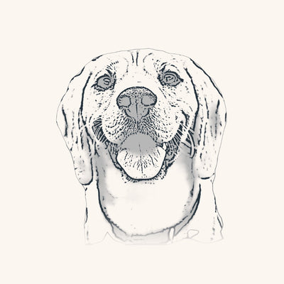 Exemple de style line art